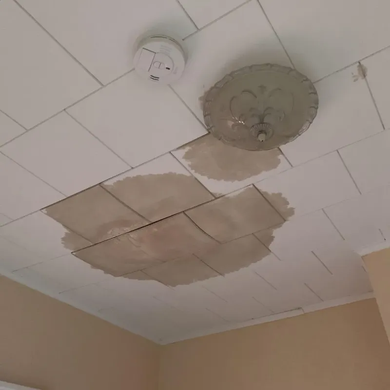 Ceiling Water Damage Repair in Eaton Estates, OH