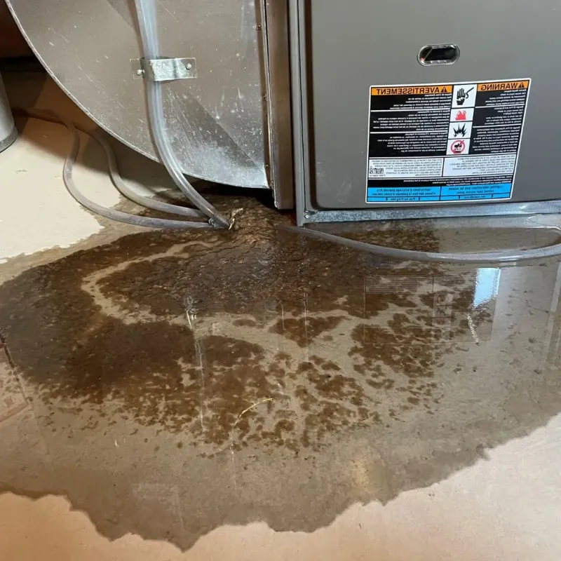 Pipe Burst and Leak Restoration in Eaton Estates, OH